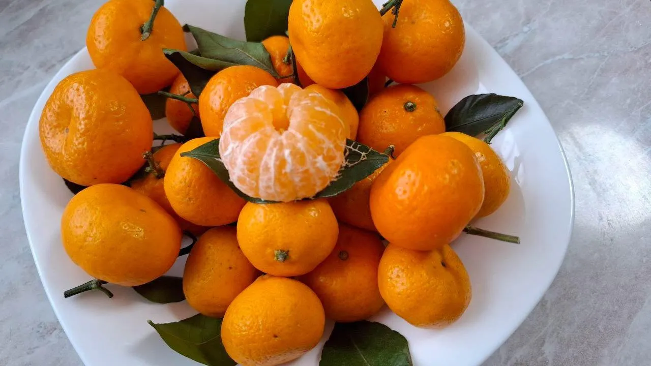 REGIONS/Юлия Габбасова