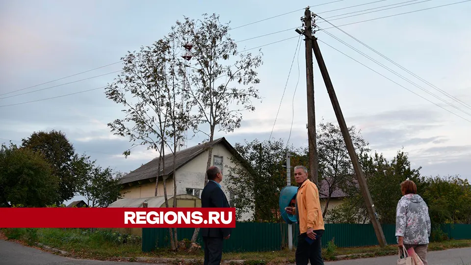 Фото: Владимир Останин