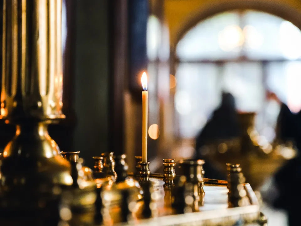 Фото: пресс-служба администрации г.о. Химки