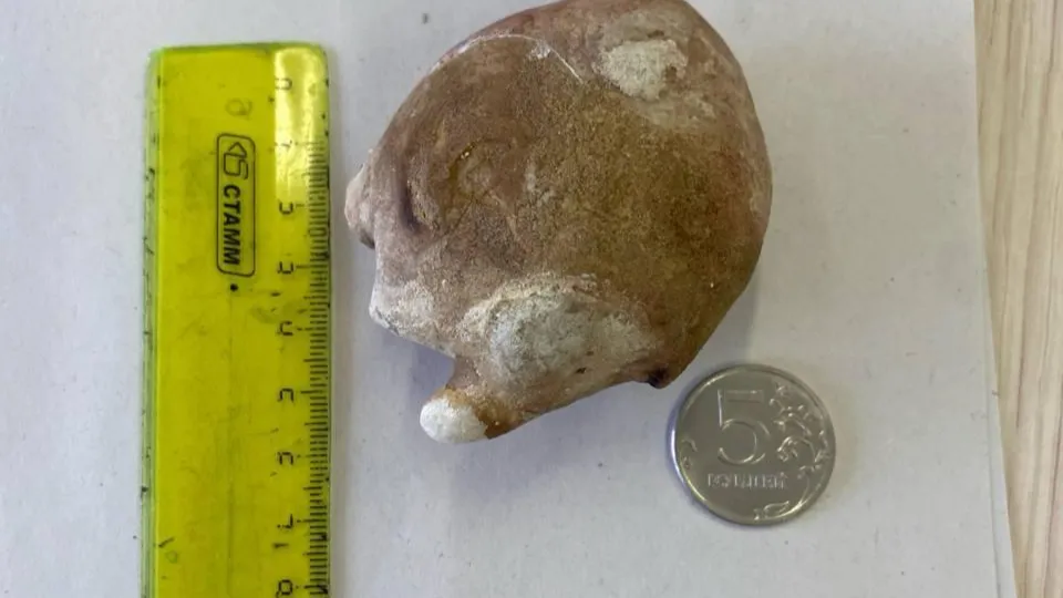 Фото: пресс-служба Минздрава МО