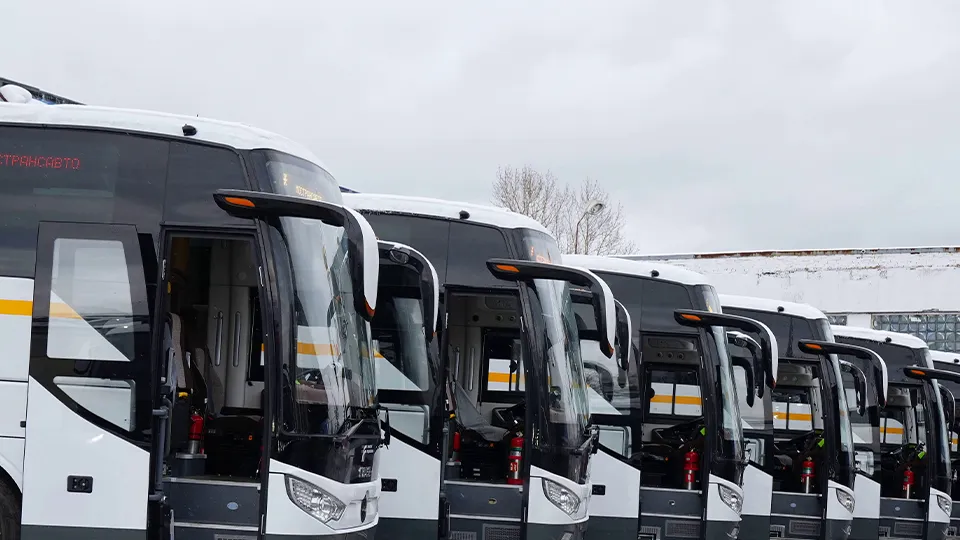 Фото: пресс-служба губернатора и правительства Московской области