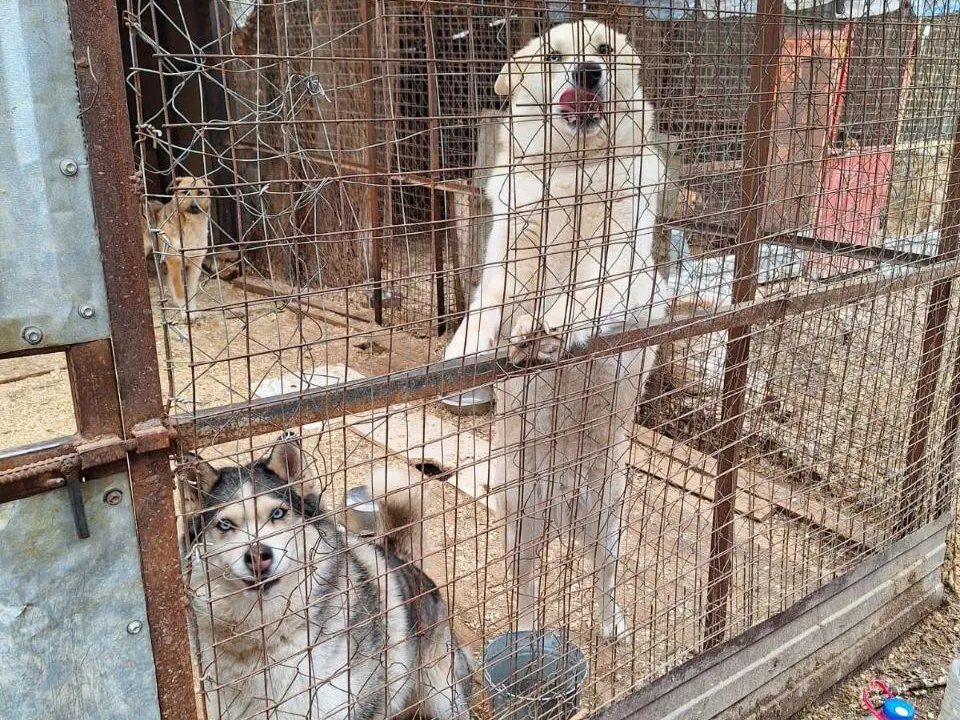 Фото: Министерство социального развития Московской области