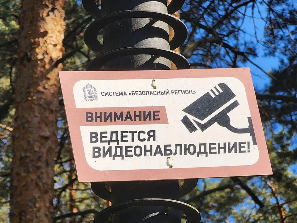 Фото: пресс-служба губернатора и правительства Московской области