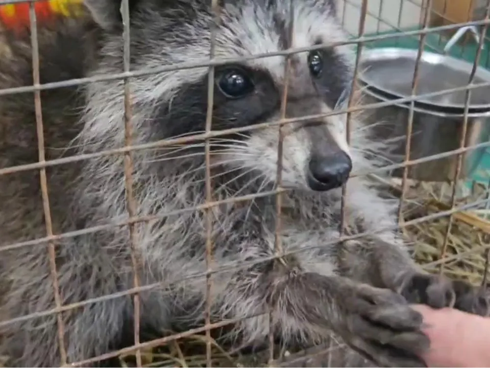 Фото: Ольга Вельшикаева