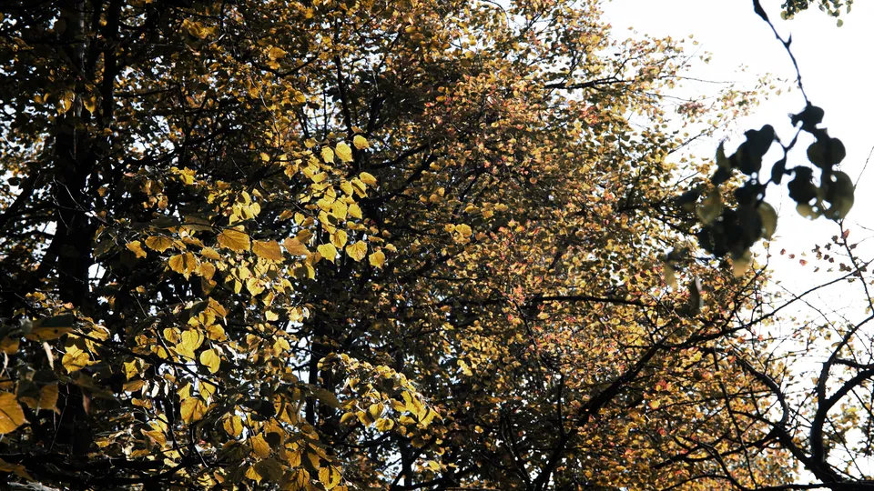 Фото: REGIONS/Наталия Надточая