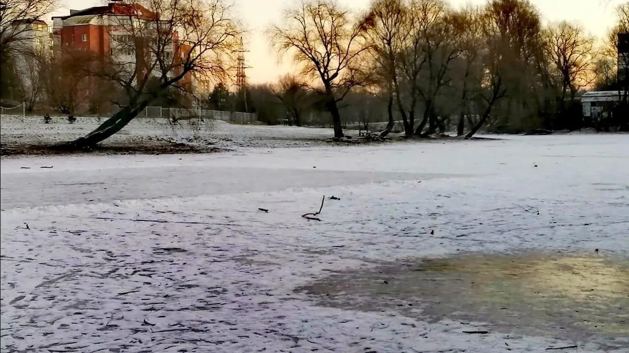 Из архива редакции