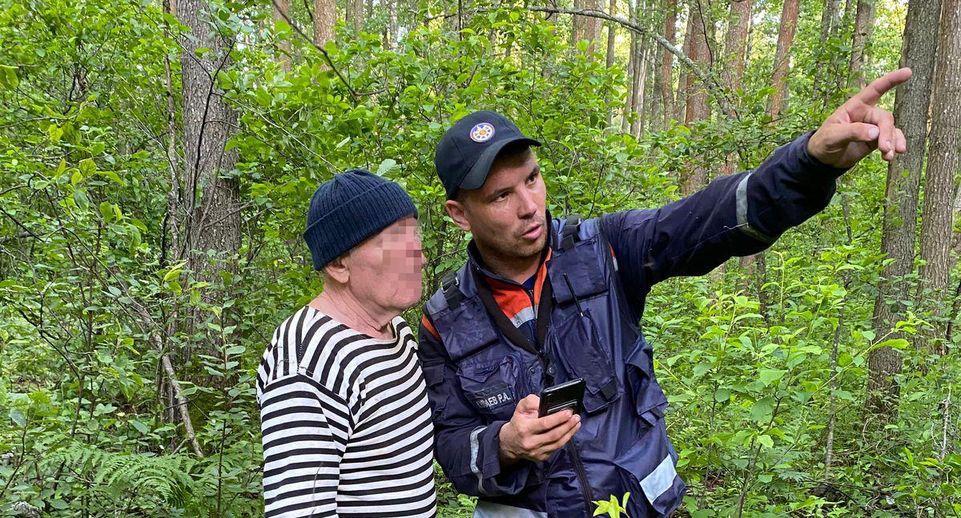 Заблудившегося в лесу пожилого грибника спасли в Шатуре