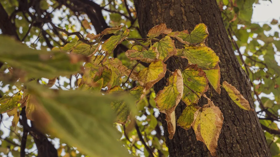 Фото: REGIONS/Наталия Надточая