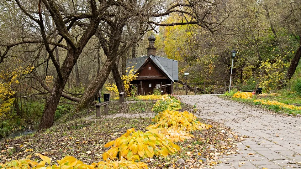 Фото: медиасток.рф