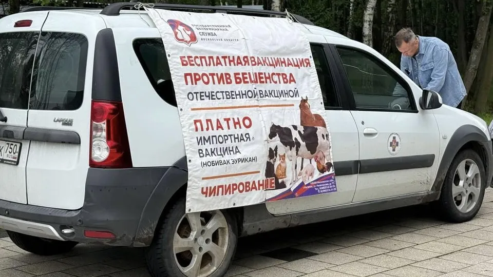 Фото: пресс-служба администрации г.о. Электросталь