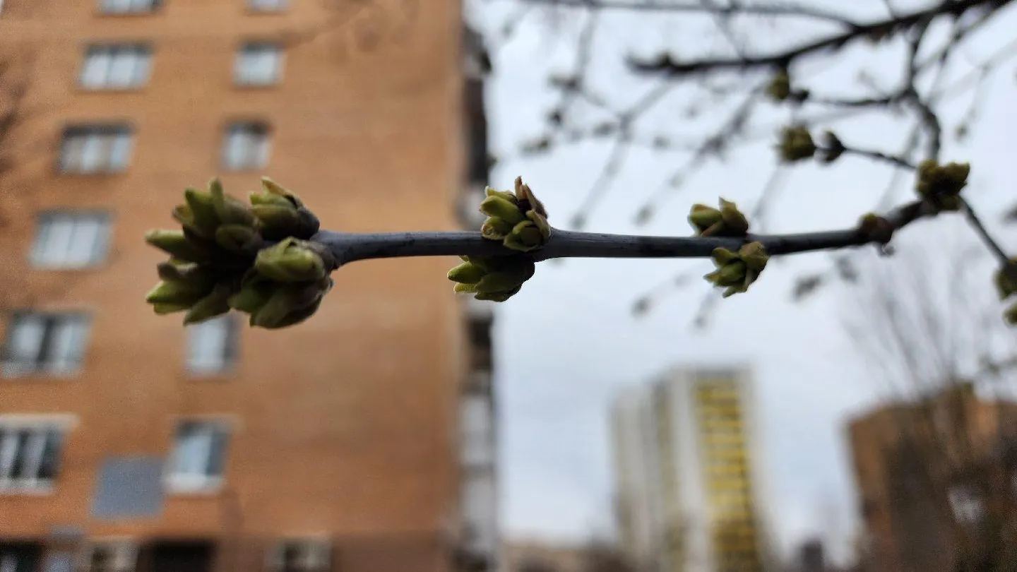 МедиаБанк Подмосковья/Наталья Дорошева