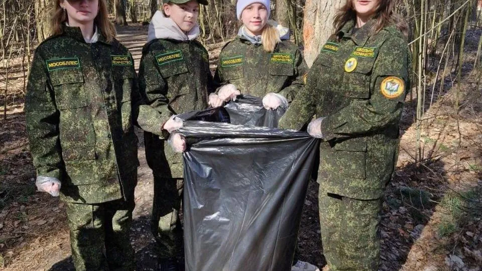 Фото: Орехово-Зуевский филиал ГАУ МО «Мособллес»