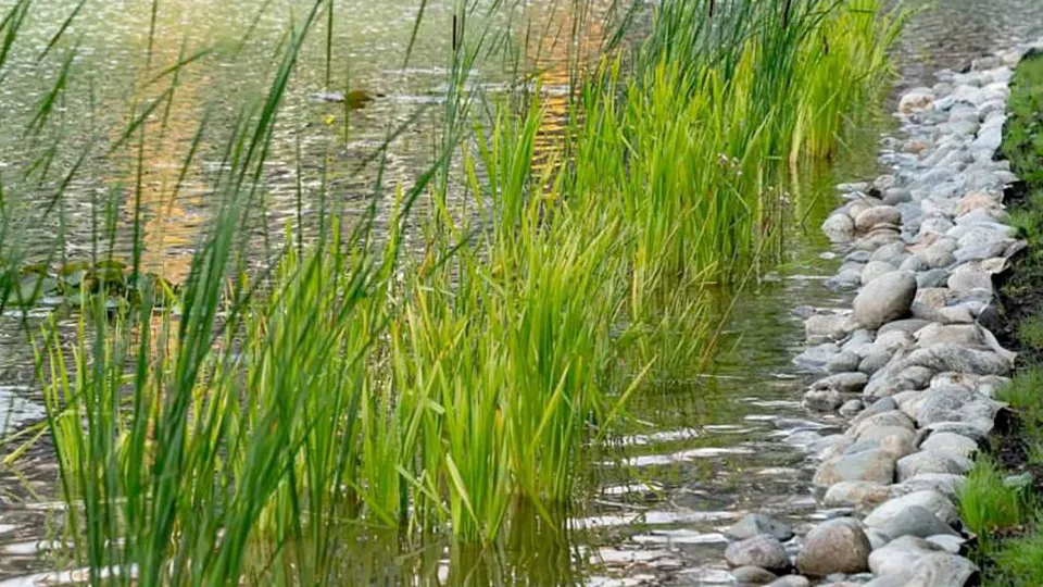 Фото: официальный сайт мэра Москвы