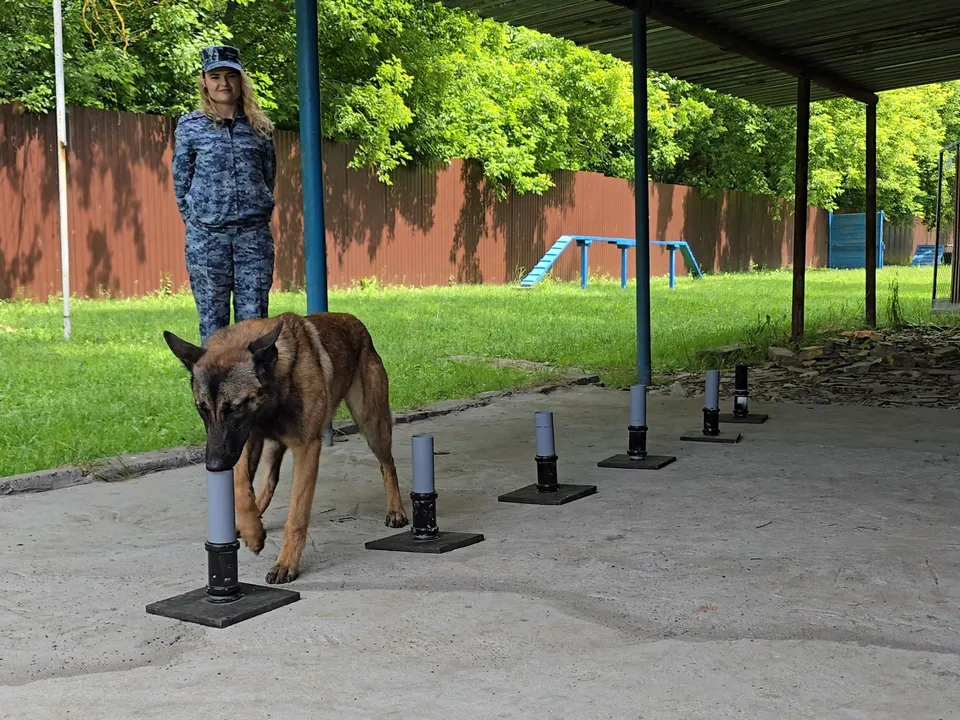 Фото: Марина Анисимова