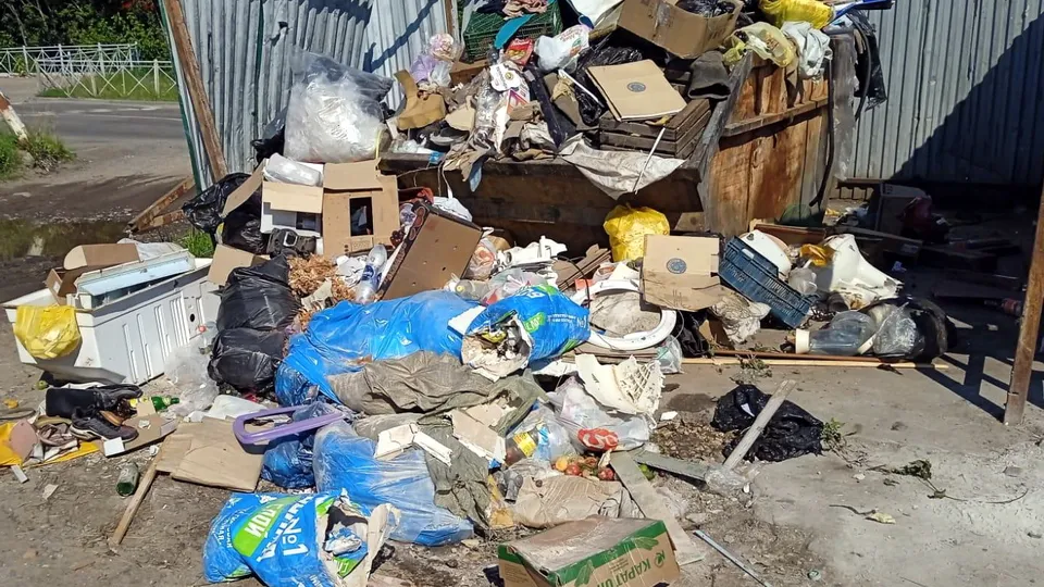 Фото: Администрация БГО