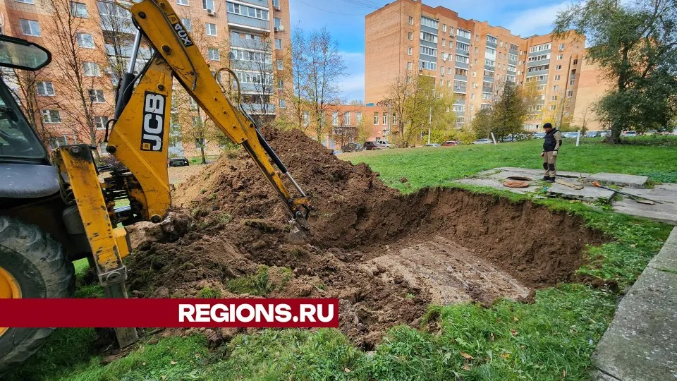 Фото: Дмитрий Алексеенко