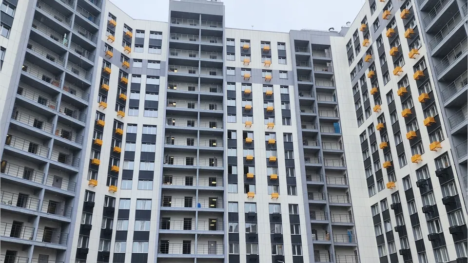 Фото: МедиаБанк Подмосковья/Екатерина Мелкозерова