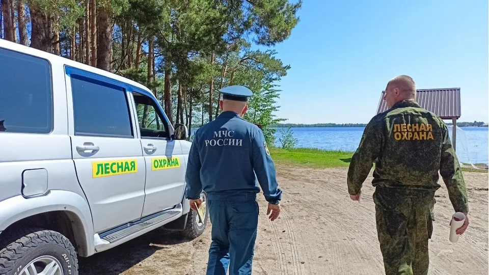 Фото: ГКУ МО «Мособллес»