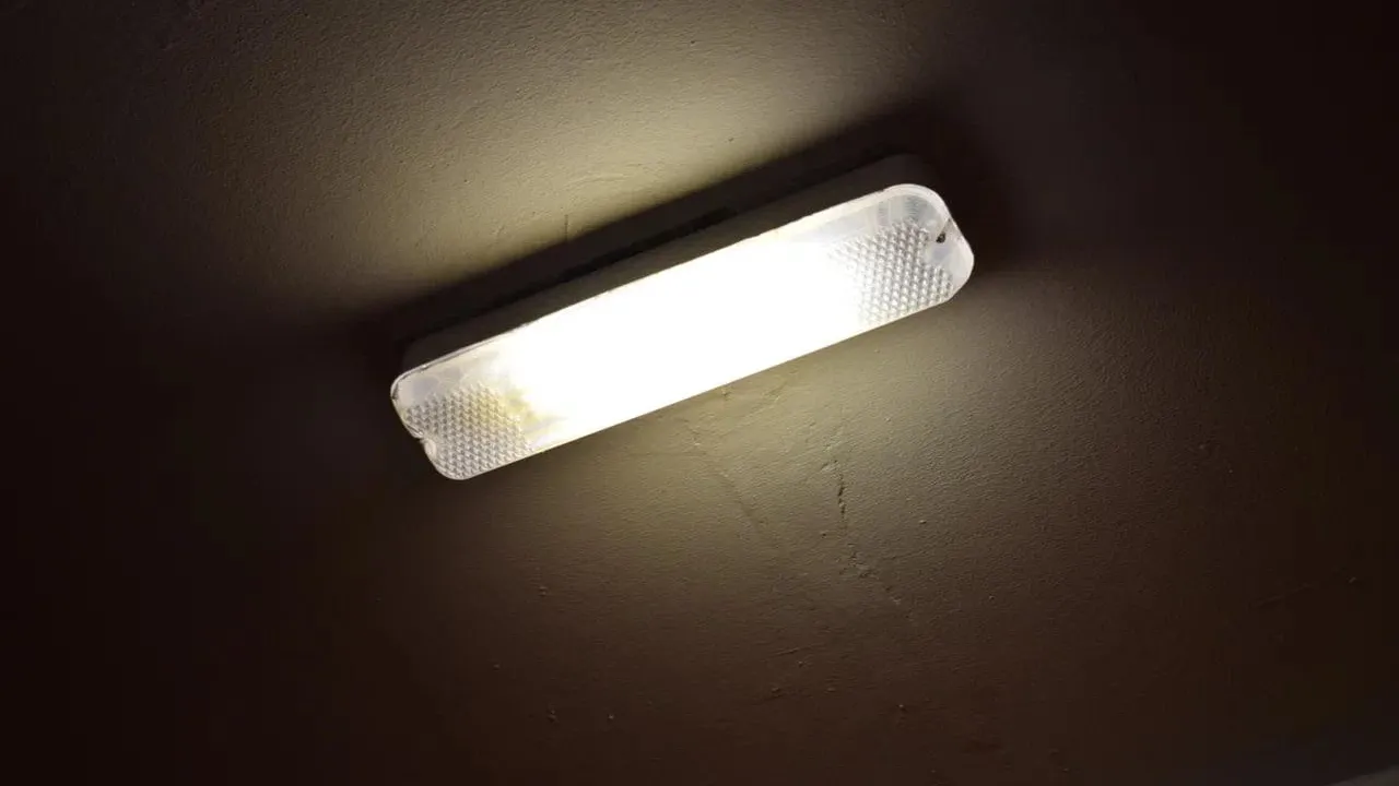 Фото: ГУСТ МО