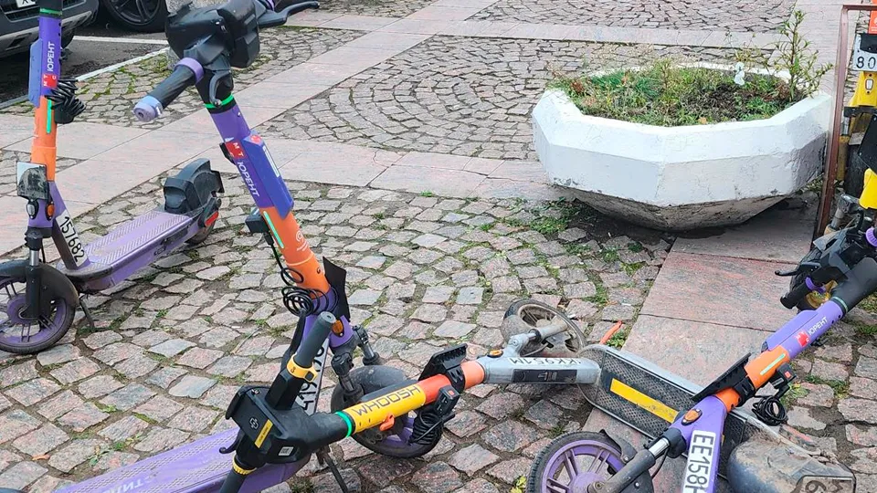 Фото: МедиаБанк Подмосковья/Михаил Раскин