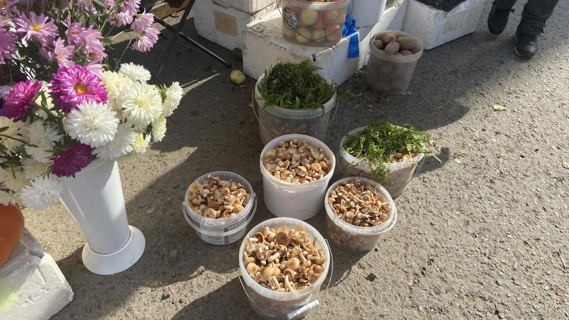 Фото: Светлана Борщева