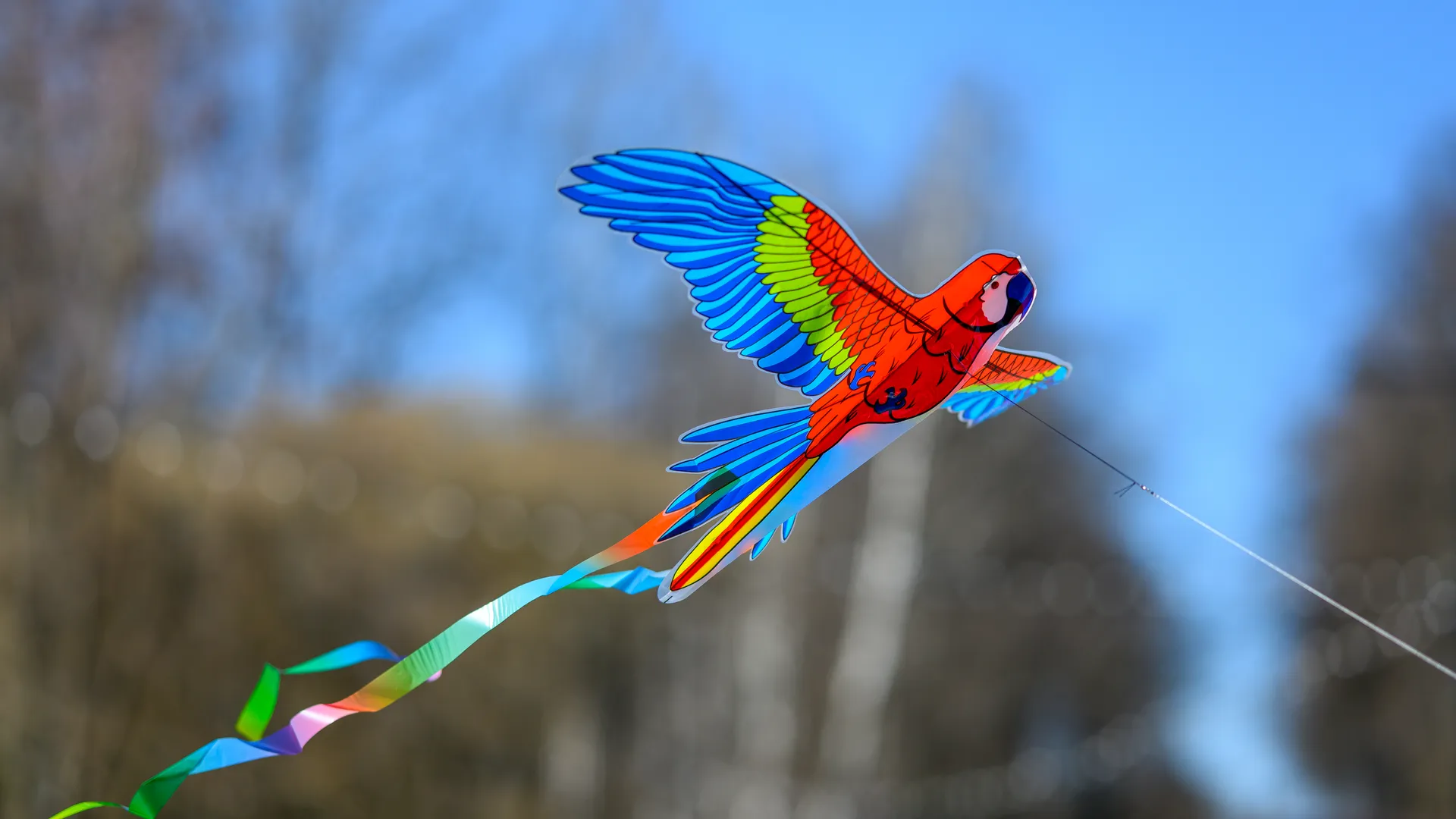 медиасток.рф