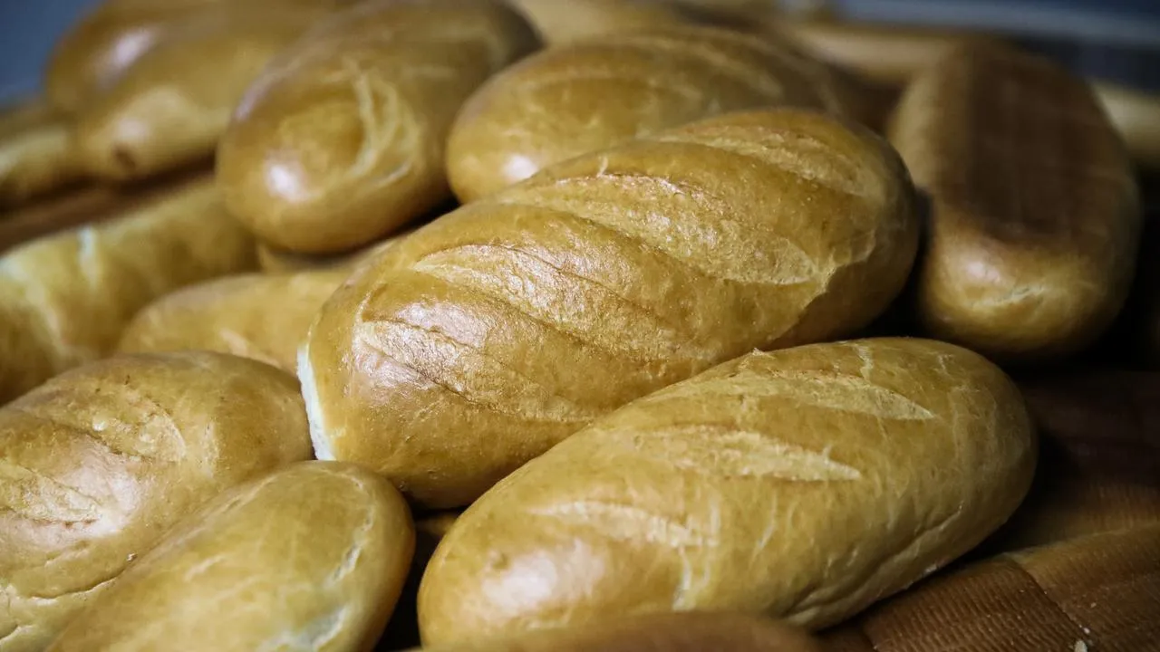 медиасток.рф