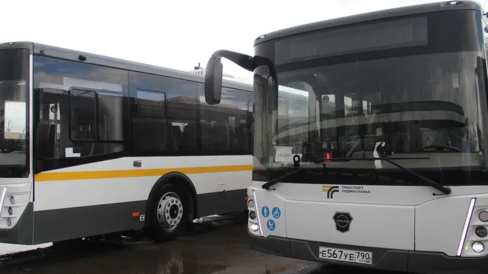 Фото: REGIONS/Василий Тремасов