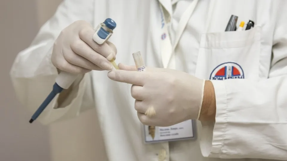 Фото: pxhere.com