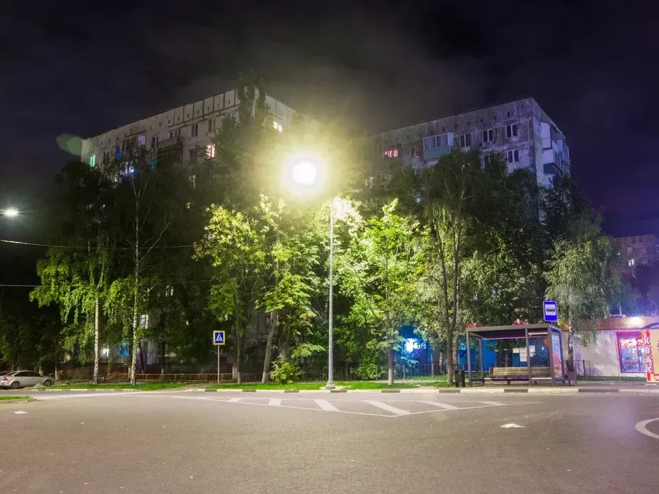 Фото: Министерство благоустройства Московской области&nbsp;