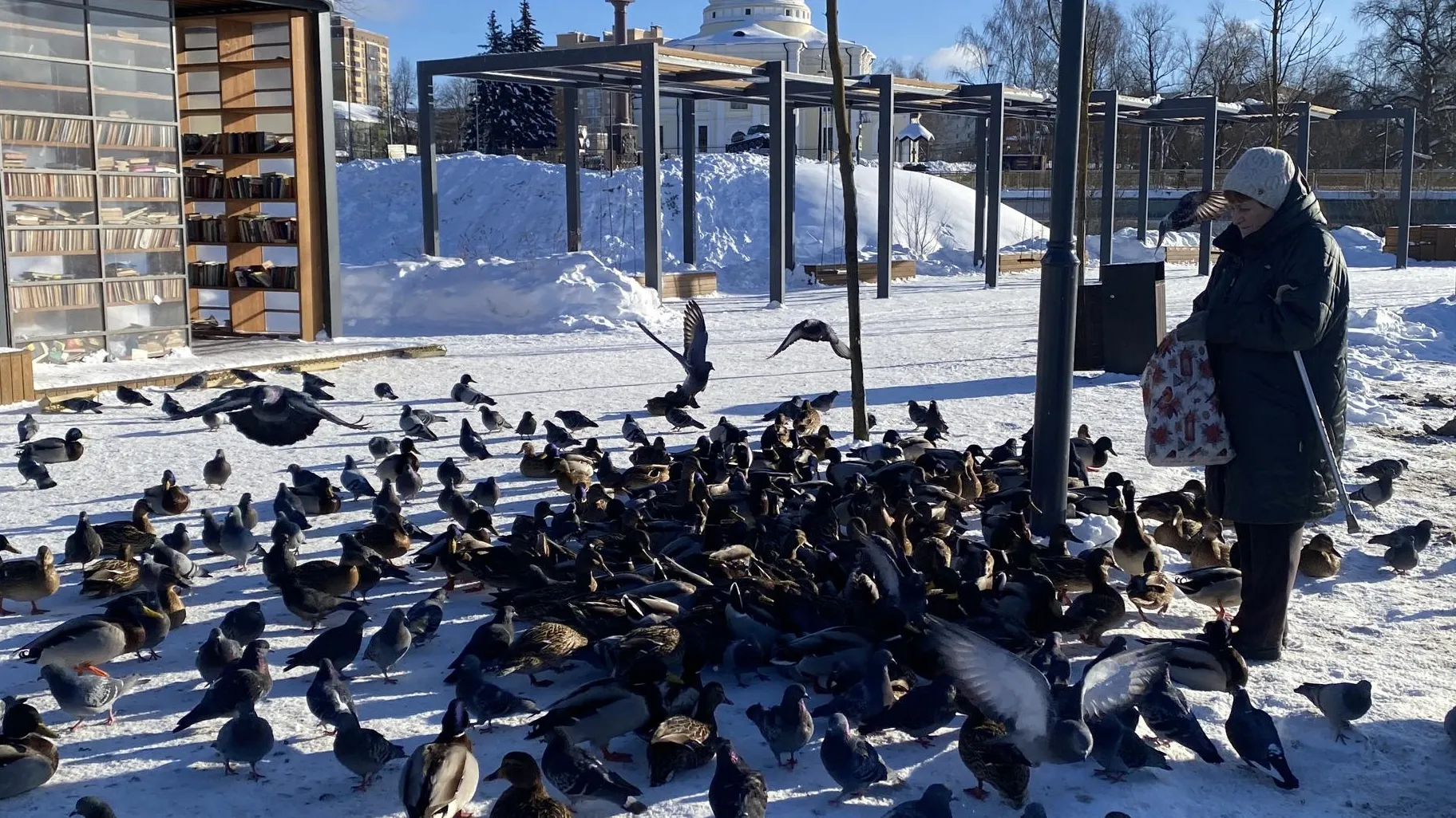 Анна Артюшина