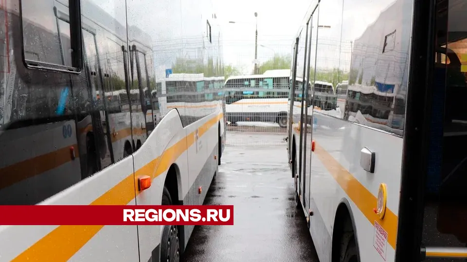 Фото: REGIONS/Василий Тремасов