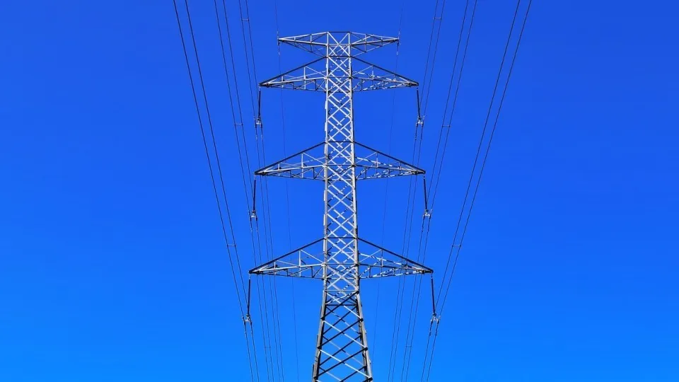 Фото: pxhere.com