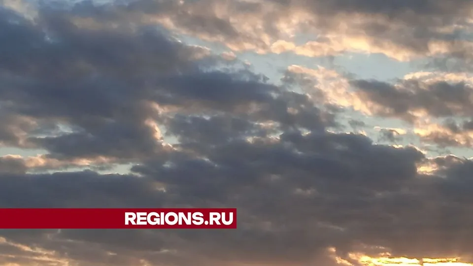 Фото: REGIONS/Юлия Куделькина