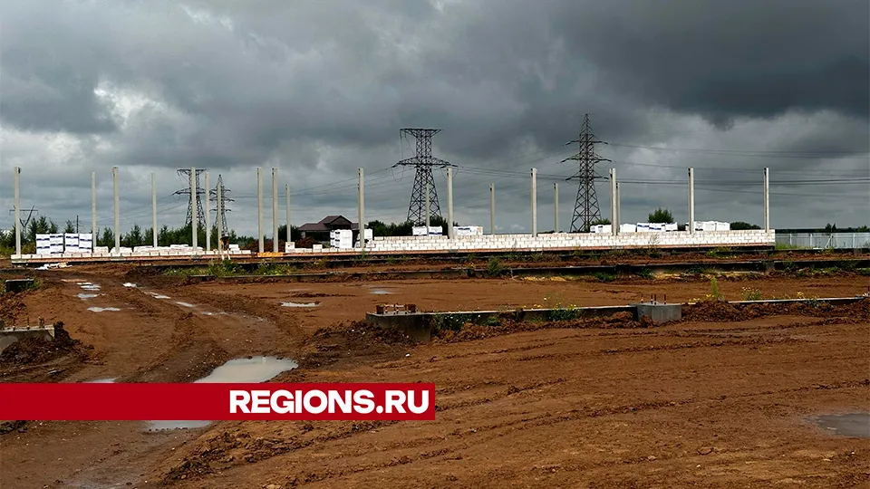 Фото: Светлана Плотникова