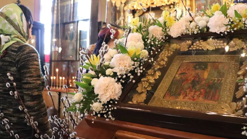 Фото: REGIONS/Василий Тремасов