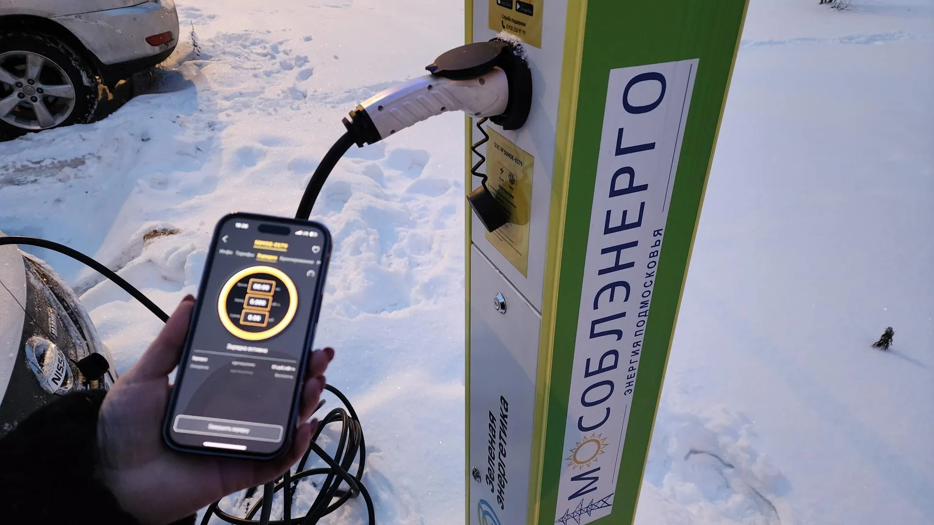 Фото: Валерия Тингаева