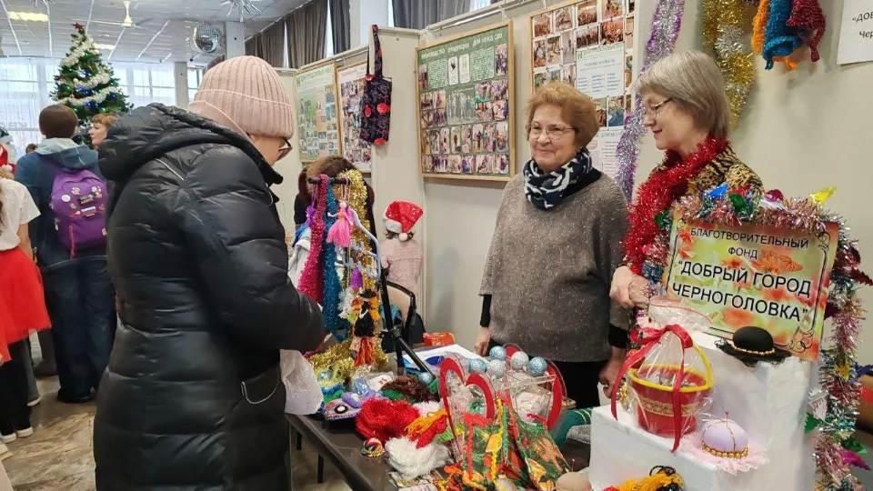 Фото: пресс-служба администрации г.о. Черноголовка