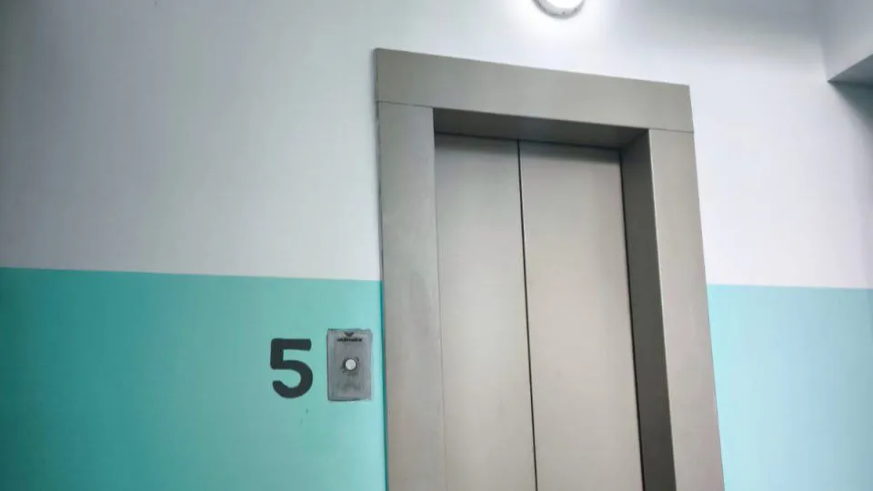 Фото: t.me/alexander_gorbylev_ruza