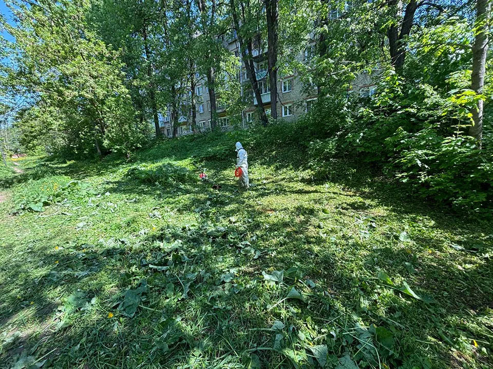 Фото: МБУ «Городское хозяйство»