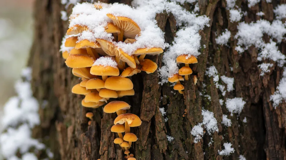 Фото: istockphoto.com