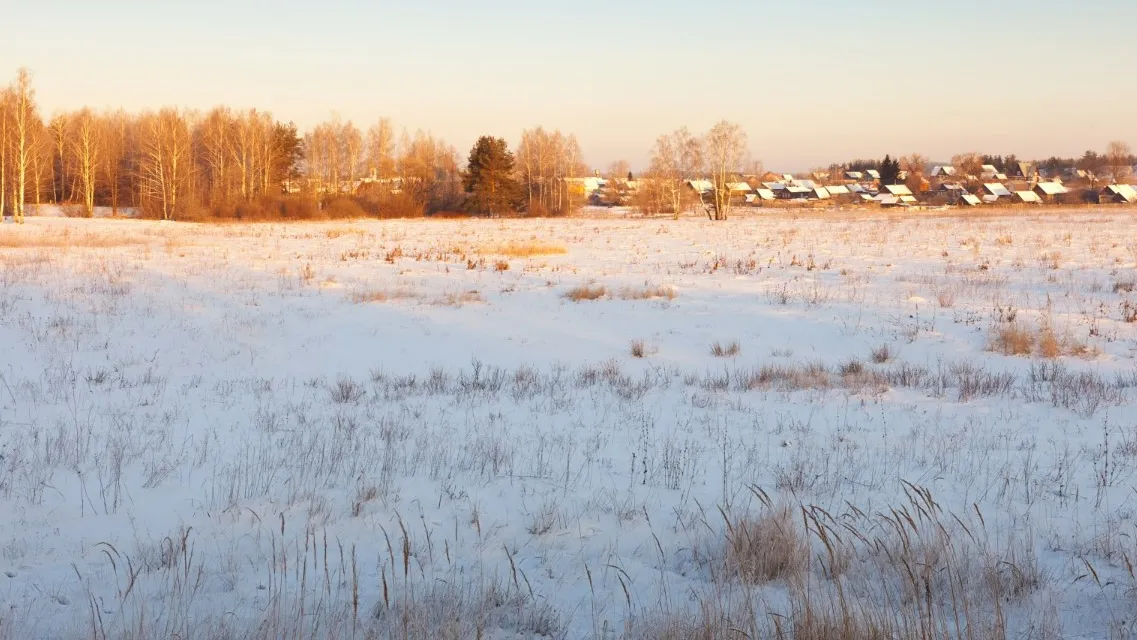 Фото: freepik.com