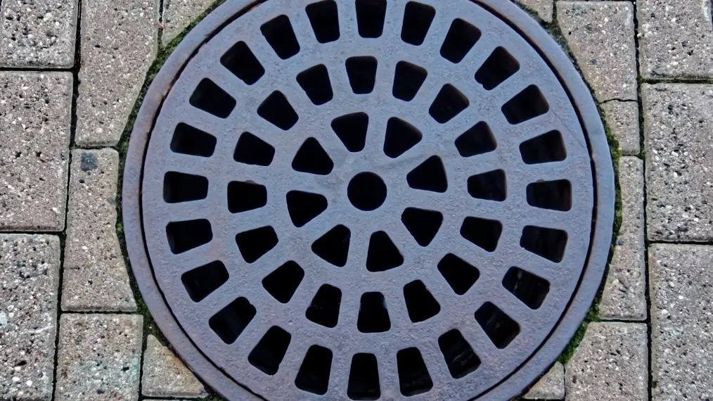 Фото: unsplash.com