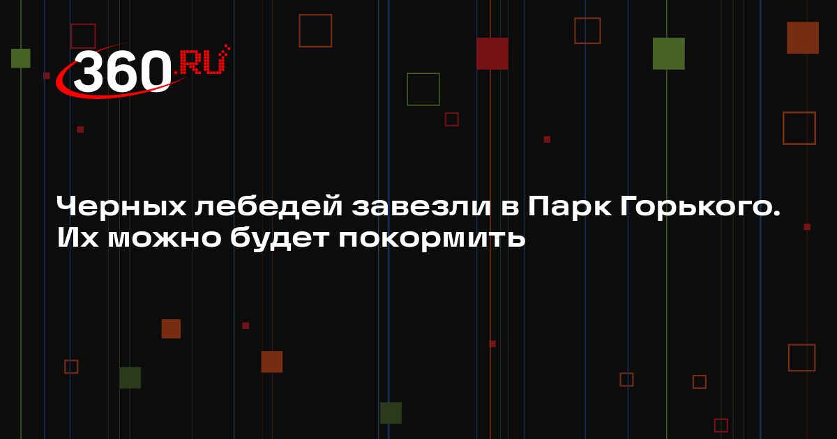 360tv.ru