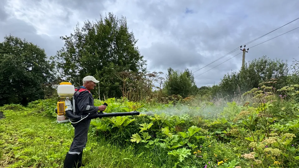 Фото: МедиаБанк Подмосковья/Татьяна Рунова