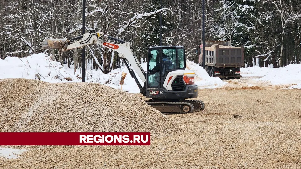 Фото: Хавива Фонина