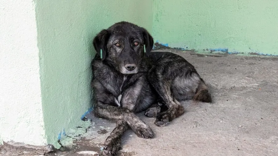 Фото: freepik.com