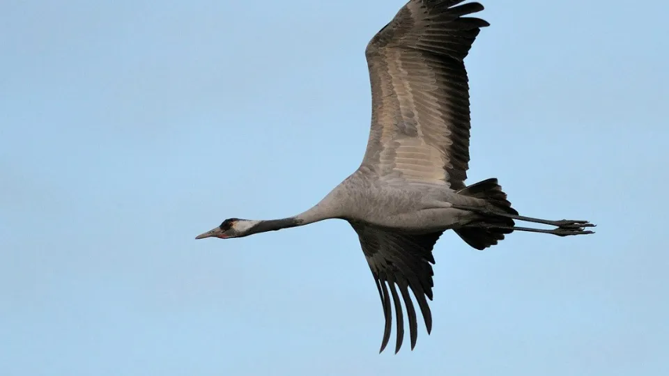 Фото: МедиаБанк Подмосковья/Евгений Рой