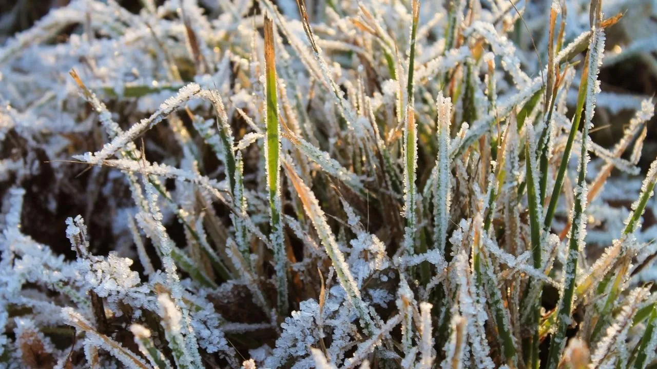 медиасток.рф