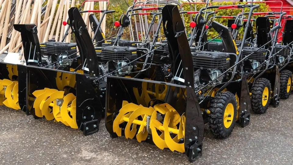 Фото: Министерство благоустройства Московской области